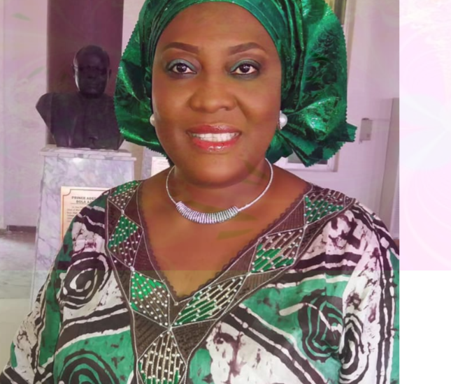 Ogun State Appoints 17th Head of Service
