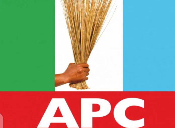 FINALLY! APC Lagos Unveils LG Primary Elections Winners (FULL LIST)