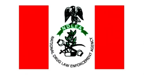 NDLEA nabs pregnant lady, others for drug possession